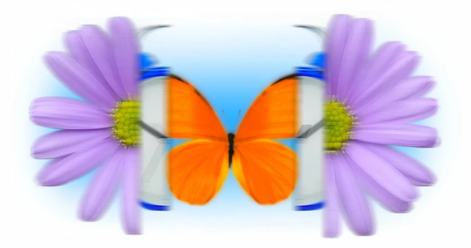 2022-magasin_cnac-banner_newsletter-1-ld